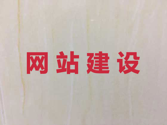 宁德专业网站建设